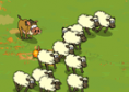 Kaban Sheep
